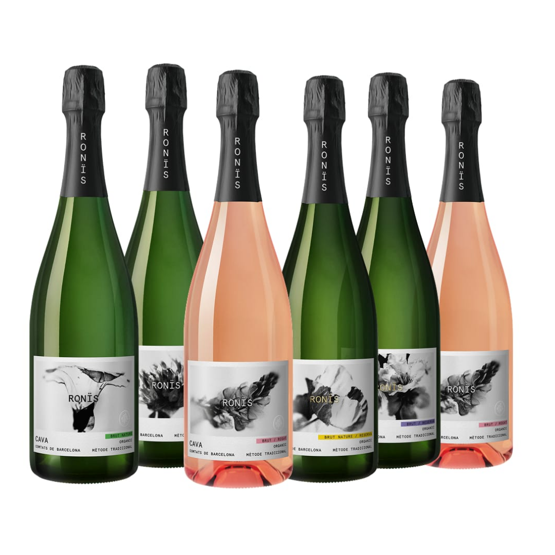 BOX 6 CAVAS RONIS, OPCIÓN 2