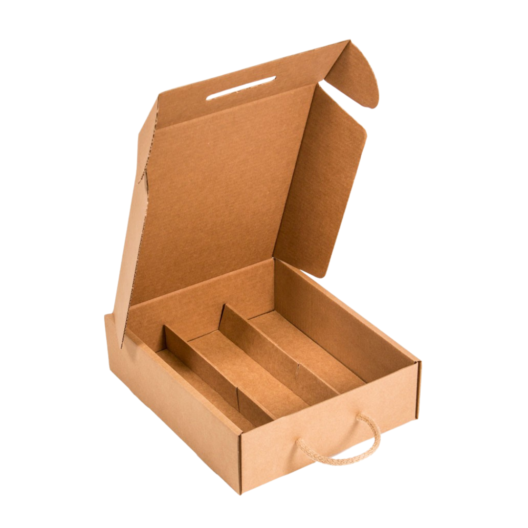 Caja de cartón 3bot