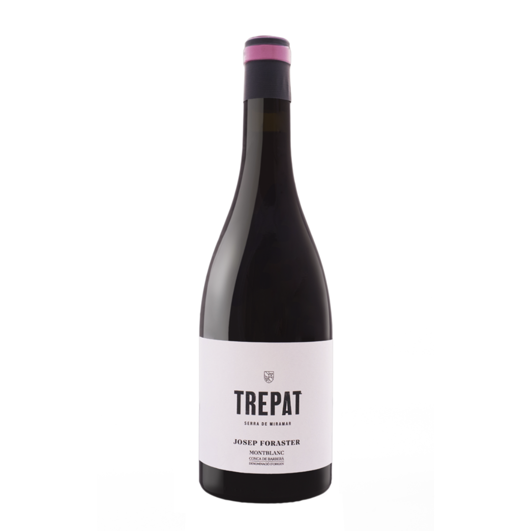 JOSEP FORASTER TREPAT
