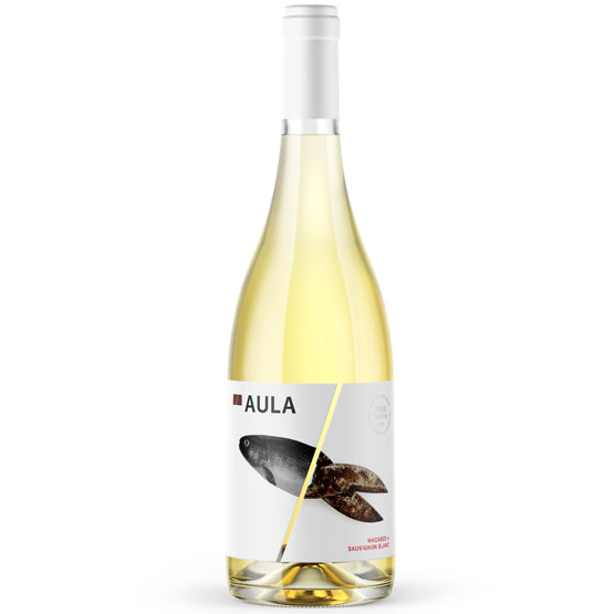 COVIÑAS AULA MACABEO SAUVIGNON BLANC