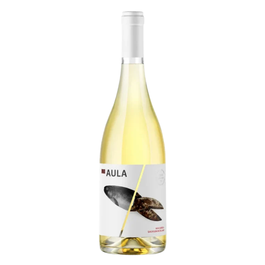 COVIÑAS AULA MACABEO SAUVIGNON BLANC