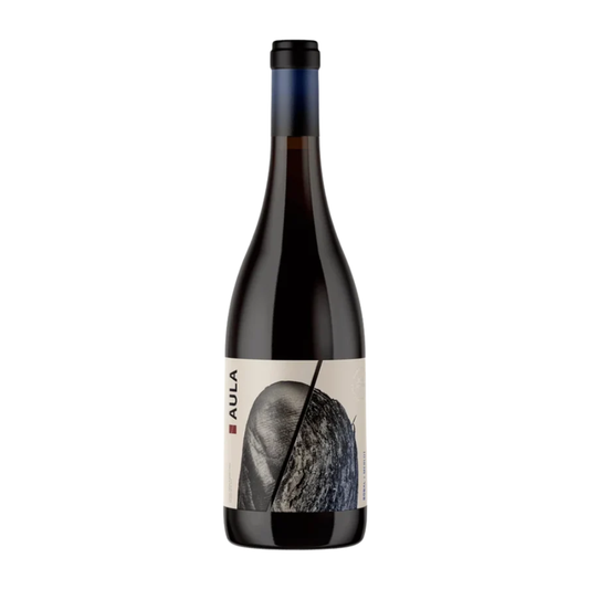COVIÑAS AULA BOBAL MERLOT