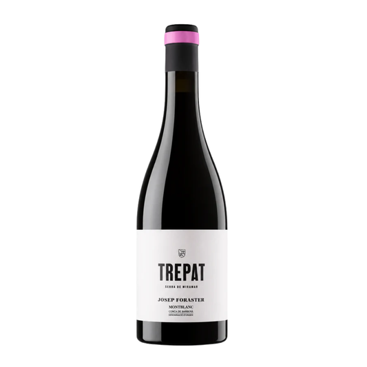 JOSEP FORASTER TREPAT