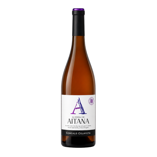 GONZALO CELAYETA LA HUELLA DE AITANA