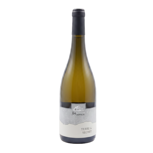 SYLVAIN MOSNIER CHABLIS TERRE & SECRET EDICIÓN LIMITADA